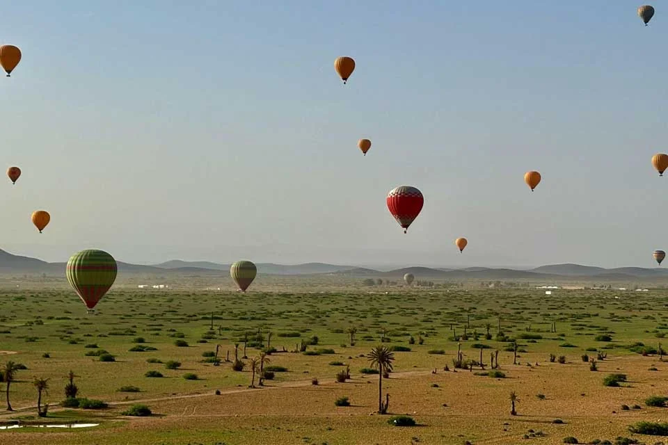 Marrakech: Balloon Ride with Buffet Breakfast and Certificate