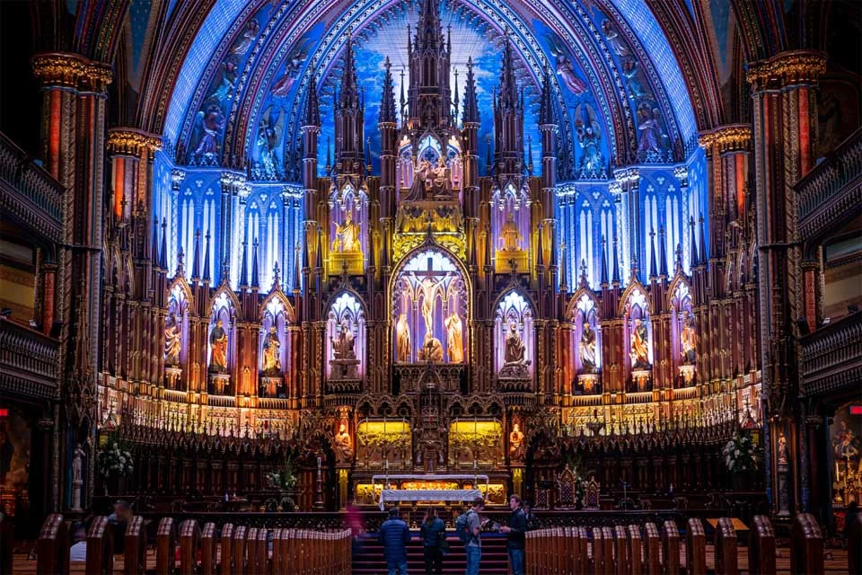 Paris : Visite guidée de Notre-Dame avec plusieurs options d'entrée
