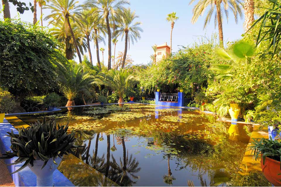An ornamental pool in Majorelle Garden
